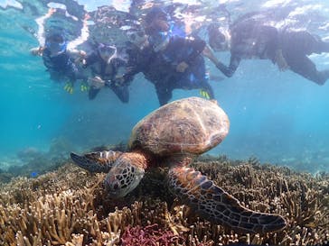 初心者専門宮古島シュノーケリングツアーに投稿された画像（2024/7/7）