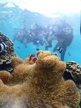 初心者専門宮古島シュノーケリングツアーに投稿された画像（2024/7/7）