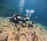 青の洞窟専門店　沖縄ダイビングショップ和に投稿された画像（2024/7/7）