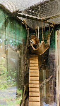 多摩動物公園に投稿された画像（2024/7/7）