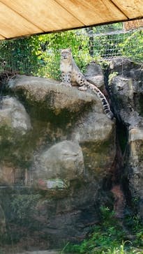 多摩動物公園に投稿された画像（2024/7/7）