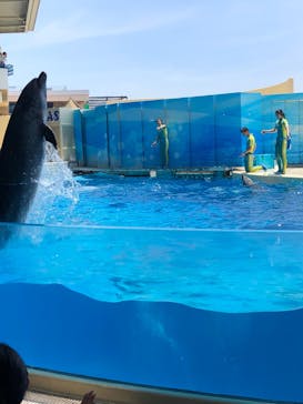 新江ノ島水族館に投稿された画像（2024/7/7）