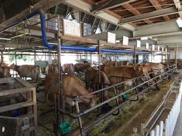 牧歌の里に投稿された画像（2024/7/7）