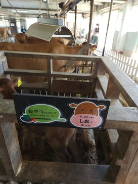 牧歌の里に投稿された画像（2024/7/7）