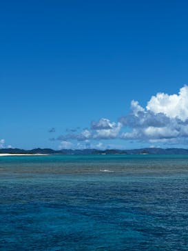 Sea World（シーワールド）に投稿された画像（2024/7/7）