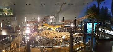 福井県立恐竜博物館に投稿された画像（2024/7/7）