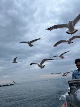 龍宮クルーズに投稿された画像（2024/7/7）