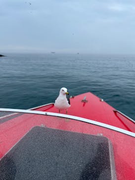 龍宮クルーズに投稿された画像（2024/7/7）