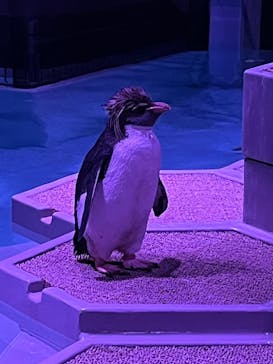 AOAO SAPPOROに投稿された画像（2024/7/7）