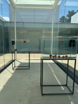 金沢21世紀美術館に投稿された画像（2024/7/7）