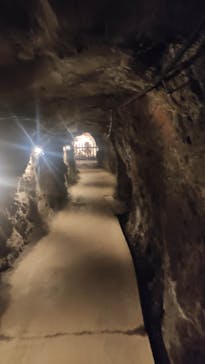 土肥金山に投稿された画像（2024/7/7）