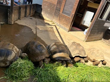 世界淡水魚園水族館　アクア・トトぎふに投稿された画像（2024/7/7）