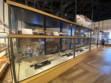 アクアワールド茨城県大洗水族館に投稿された画像（2024/7/7）