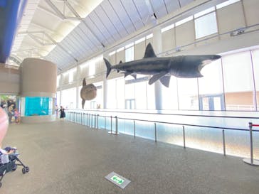 アクアワールド茨城県大洗水族館に投稿された画像（2024/7/7）
