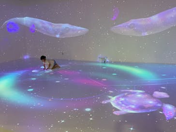 ハピピランド ラグーナ蒲郡に投稿された画像（2024/7/7）