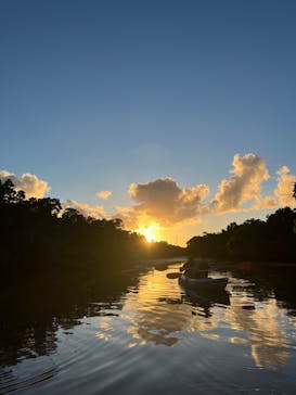 西表島 ADVENTURE PiPi（アドベンチャーピピ）に投稿された画像（2024/7/7）