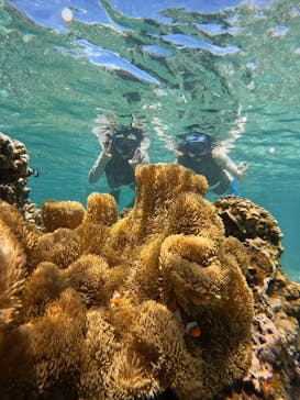 オースリーシュノーケル宮古島に投稿された画像（2024/7/7）