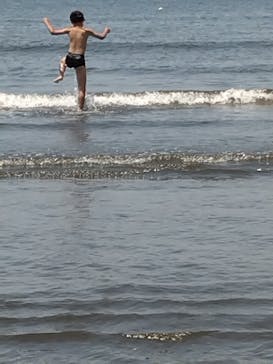 新江ノ島水族館に投稿された画像（2024/7/7）