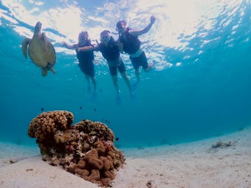 宮古島マリン GB QUESTに投稿された画像（2024/7/7）