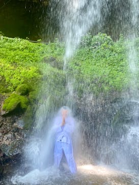 ジャパンだるまツアーに投稿された画像（2024/7/7）