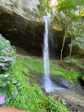 ジャパンだるまツアーに投稿された画像（2024/7/7）