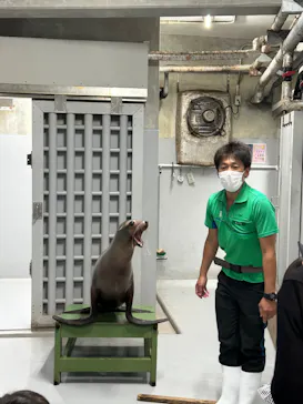 仙台うみの杜水族館に投稿された画像（2024/7/7）