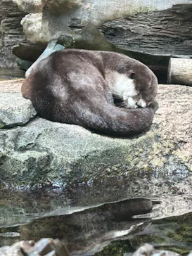 仙台うみの杜水族館に投稿された画像（2024/7/7）