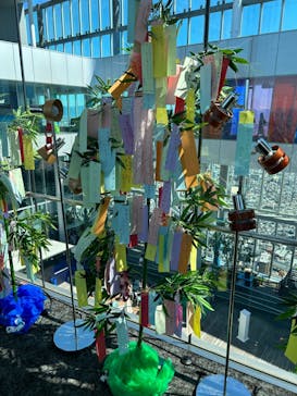 ハルカス300(展望台)に投稿された画像（2024/7/7）