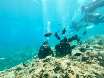 ダイビングショップ　ハイビスカスに投稿された画像（2024/7/7）