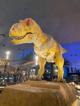 福井県立恐竜博物館に投稿された画像（2024/7/7）