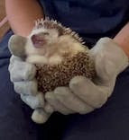 Moff animal world BIGHOPガーデンモール印西店に投稿された画像（2024/7/7）