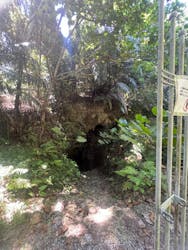 松田地区体験交流センターに投稿された画像（2024/7/7）