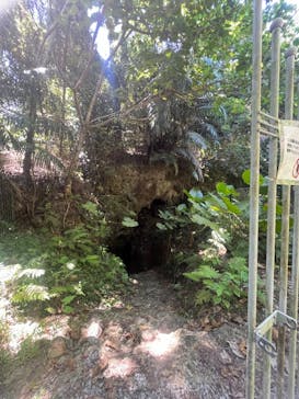 松田地区体験交流センターに投稿された画像（2024/7/7）