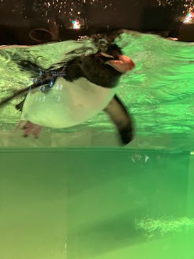 AOAO SAPPOROに投稿された画像（2024/7/7）