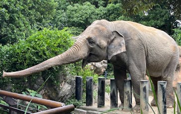 到津の森公園に投稿された画像（2024/7/7）