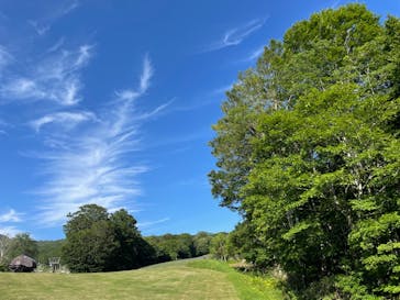 たんばらラベンダーパークに投稿された画像（2024/7/7）