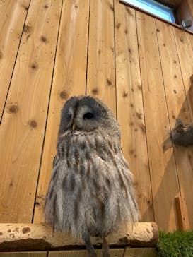 伊豆シャボテン動物公園に投稿された画像（2024/7/7）
