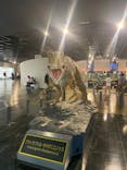 福井県立恐竜博物館に投稿された画像（2024/7/8）