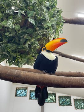 しろとり動物園に投稿された画像（2024/7/7）