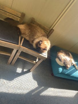 しろとり動物園に投稿された画像（2024/7/7）