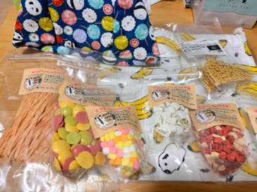 レプタイルズフィーバー2025に投稿された画像（2024/7/7）