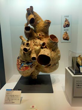 大哺乳類展に投稿された画像（2024/7/7）