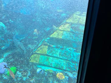 レゴランドⓇ・ジャパン・リゾートに投稿された画像（2024/7/7）