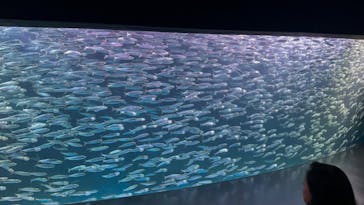 登別マリンパークニクスに投稿された画像（2024/7/7）