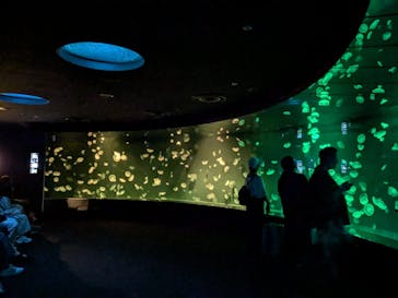 サンシャイン水族館に投稿された画像（2024/7/8）