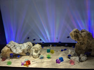 サンシャイン水族館に投稿された画像（2024/7/8）