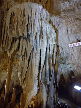 石垣島鍾乳洞に投稿された画像（2024/7/8）