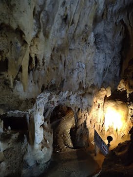 石垣島鍾乳洞に投稿された画像（2024/7/8）