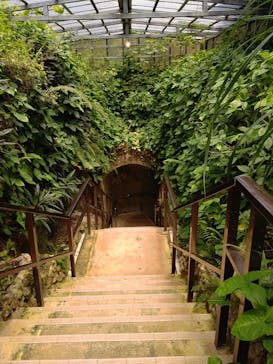 石垣島鍾乳洞に投稿された画像（2024/7/8）