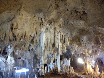 石垣島鍾乳洞に投稿された画像（2024/7/8）